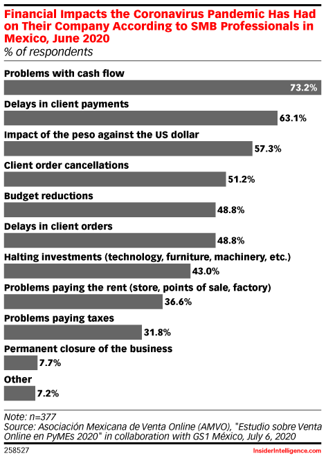 Financial Impacts the Coronavirus Pandemic Has Had on Their Company According to SMB Professionals in Mexico, June 2020 (% of respondents)